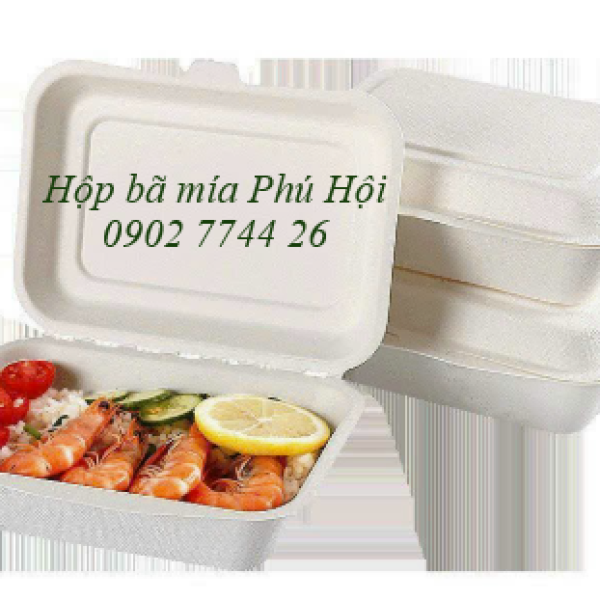 Hộp bã mía 1 ngăn nắp liền 600ml 